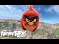 Angry Birds - International Trailer