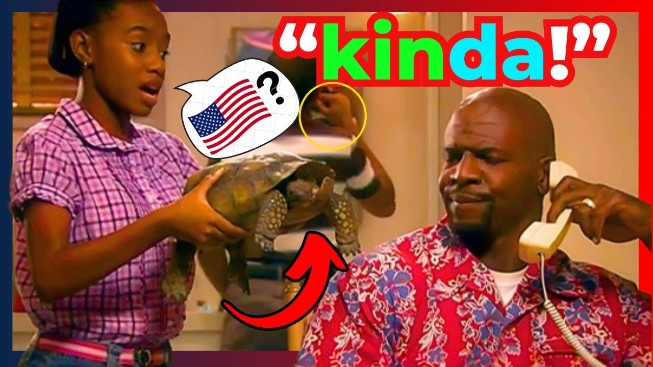 CURSO DE INGLÊS COM EVERYBODY HATES CHRIS (Todo Mundo Odeia o Chris)