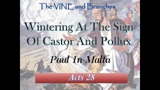 Wintering At The Sign Of Castor And Pollux_The VINE and Branches