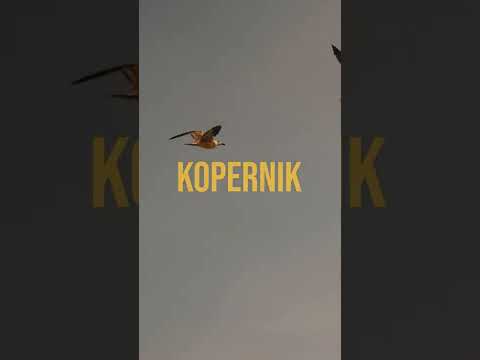 ONDUBGROUND x SUMAC DUB - KOPERNIK TEASER