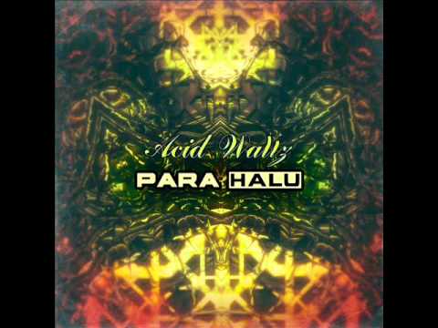 Para Halu - Contact [psy-trance]