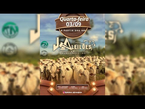 J A LEILÕES -  MUNDO NOVO - GO  - 03/09/25