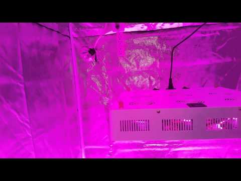 part# 2 start up of the shenzhen houyi lighting company's HYG03-9X100W-W