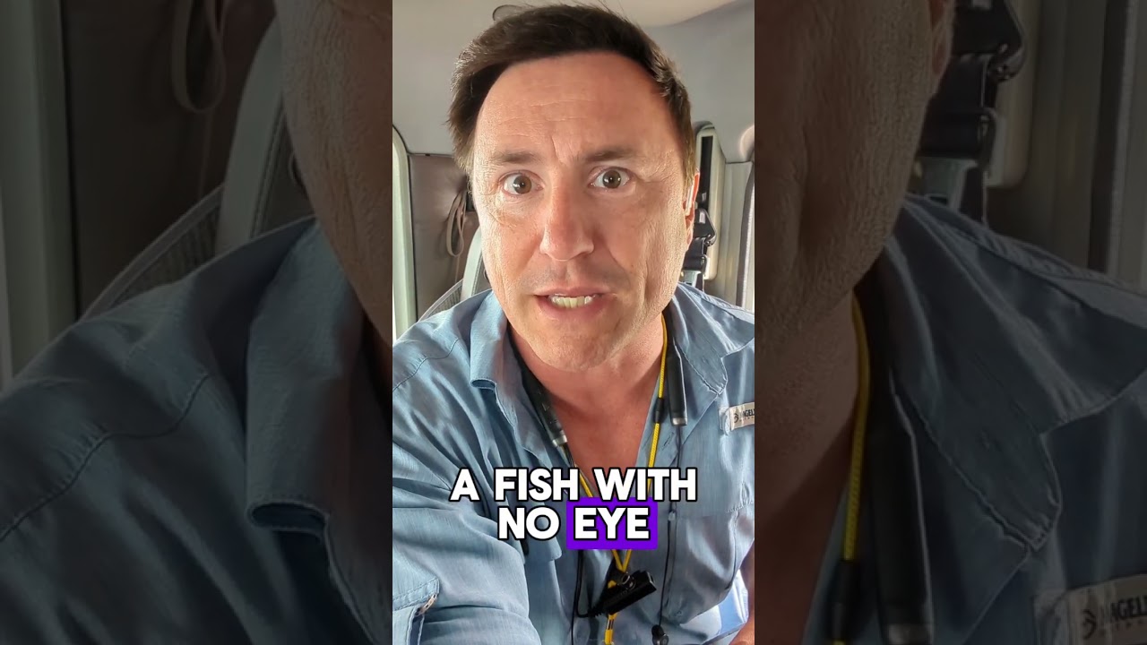 Dad Joke in 10 Seconds!  🤣 #dadjokes #shorts