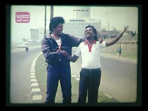 පාට සරුංගල් වාගේ | නොම්මර 17 සිංහල චිත්‍රපටය | Paata Sarungal Wage | Nommara 17 Movie Song