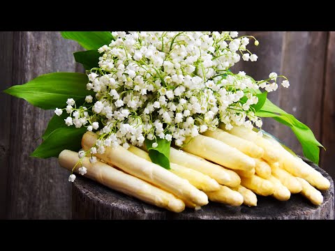 Malte Sören Voigts - Spargelhof in Kremmen