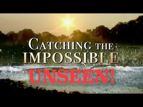 Fraklip fra Catching The Impossible