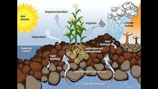 Introduction to Irrigation water requirement Part 1