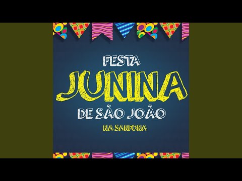 Quadrilha Brasileira / O Sanfoneiro Só Tocava Isso (Instrumental)