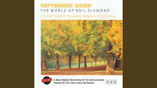 Song Sung Blue - Instrumental Cover