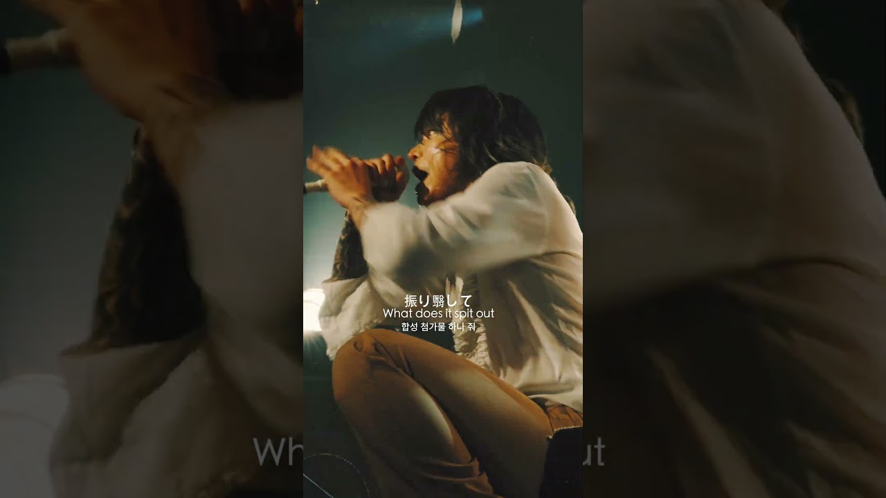 AmAmp [knock knock] #amamp #ライブ