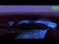 LASER KNIGHT 200 000 Vs 2 000 000 PERSLAN Ultimate Epic Battle Simulator 2 KARN GAMER UEBS 2