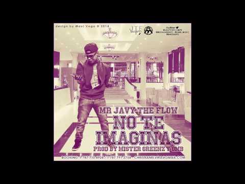 Mr. Javy The Flow - No Te Imaginas [Preview]