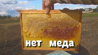 НЕТ МЕДА ЧТО ДЕЛАТЬ!!!