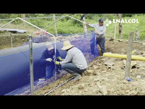 Biodigestor 10 m instalado en El Naya, Buenos Aires Cauca