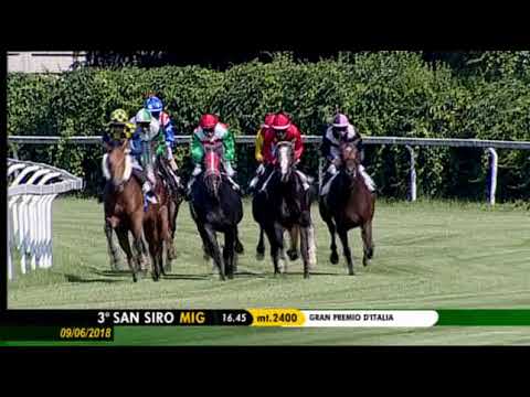 2018.06.09 Gran Premio D'italia (ITA) - Henry Mouth