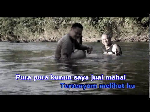 Ikan Duyung Mandi Di Sungai - Alister Leonard (Karaoke Audio Muzik Kiri, Suara Kanan)