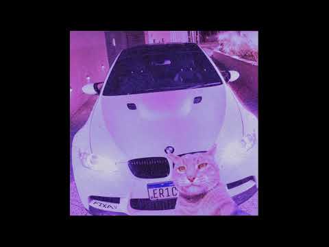 Phonk Cat - WTF (SADFRIENDD x KORDHELL)