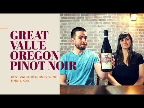 BEST BEGINNER RED WINE UNDER $20 - Oregon Pinot Noir Review [Rascal]