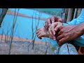 Na Chitti Cheliya Love Song New Telugu WhatsApp Status Video