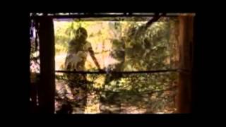 La Cartera - Carlos Vives
