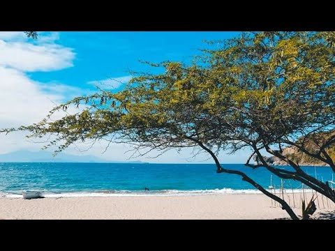 Kaynipa x Ladron 2019