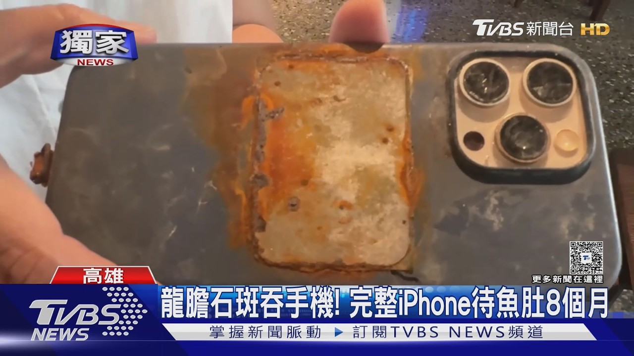 獨家影音/還能用嗎? 龍膽石斑吞手機 8個月後肚內驚見完整iPhone