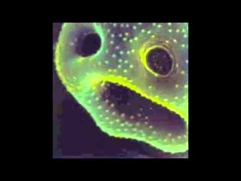 Robert Scott - The Creeping Unknown (Official Audio)