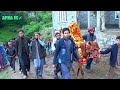 Pahari Marriage 🌹Shoot Film🌹Babul Di Main Ladli🌹Gojri Shadi Ki Video PAHARI SONG GOJRI GEET APNA JK