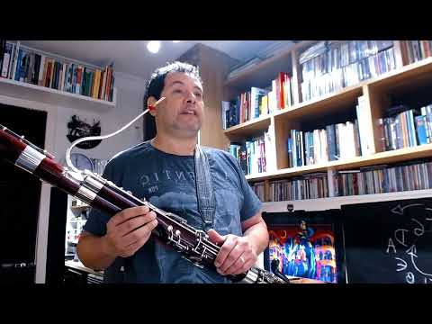 Practicing Ravel Piano Concerto - Bassoon Lesson, by Alexandre Silvério