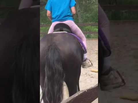 D'Arcey of Sterlingshire 2