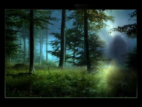 Sickless feat Maximnoise - Der Morgen zeigt