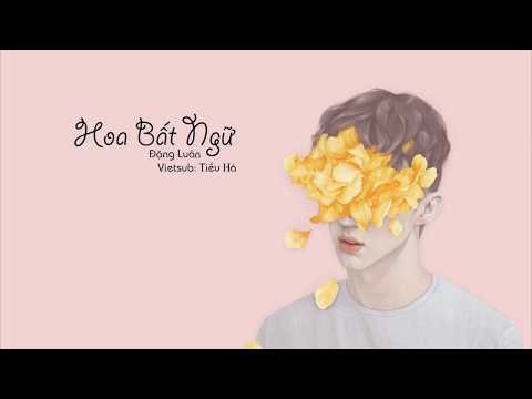 [Vietsub] Hoa Bất Ngữ - Đặng Luân (Nghìn lẻ một đêm OST) | 花不语 - 邓伦 (一千零一夜)