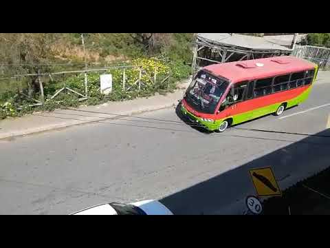 (aporte) senior tmv5