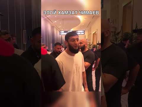 Злой Хамзат Чимаев ищет Диллона Дэниса! #shorts #mma #ufc