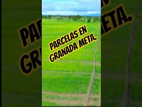 parcelas en granada meta de 5 hectáreas en adelante, #fincallanosariari #parcelas #ventadefincas