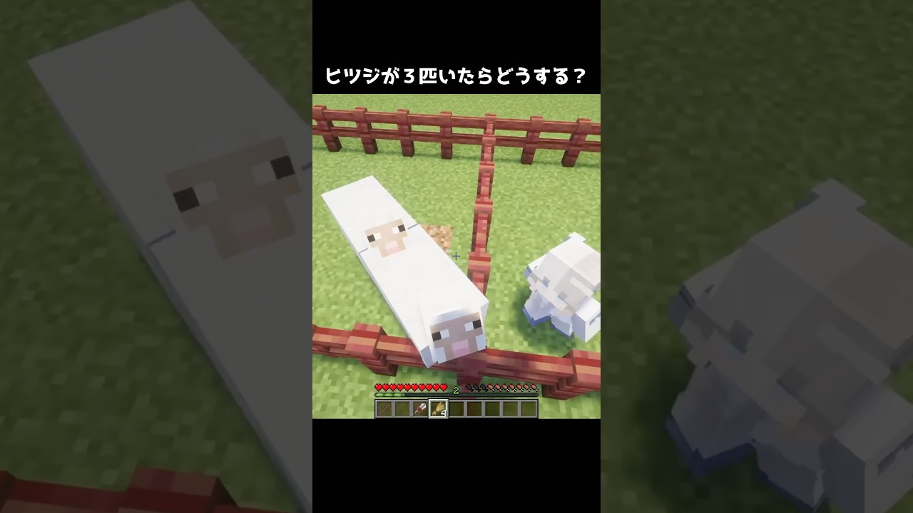 羊が3匹いたらこうして #マイクラ #マインクラフト #minecraft #あまめちゃん