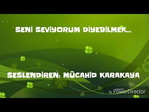 Seni seviyorum diyebilmek... (kadınlar gününe özel)