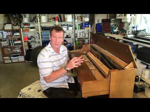 download lagu mp3 mp4 Spinet, download lagu Spinet gratis, unduh video klip Spinet