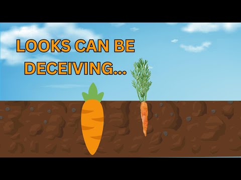 Profound Lessons of Humility | A Story of Patrul Rinpoche