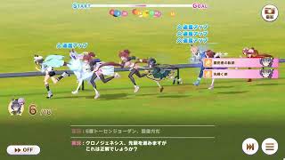 第八十六回デイリー凱旋門賞　2025/10/26 晴 良バ場