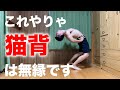 【脊柱起立筋の筋トレ】立ちブリッジから起き上がる【猫背改善にも】