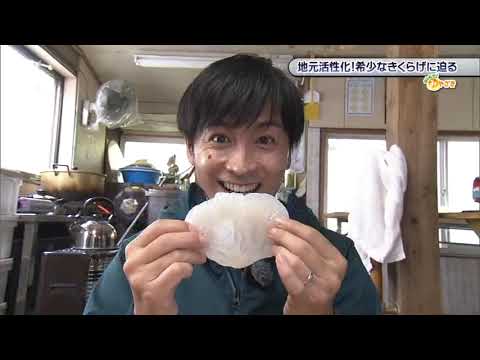 2022年12月3日(土)放送 「地元活性化！希少なきくらげに迫る」