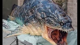Top 10 Most Dangerous Fish in the World  || Fish || Jioo