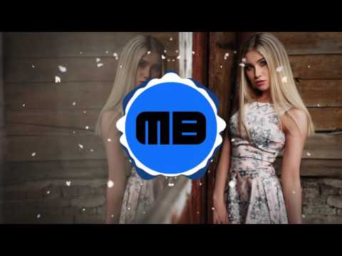 Bounce | Z3GNOR - Bouncy Boy