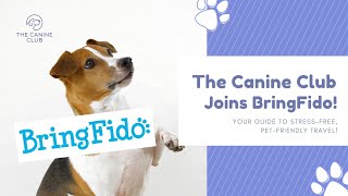 Travel Made Easy for Dog Owners: The Canine Club Joins BringFido