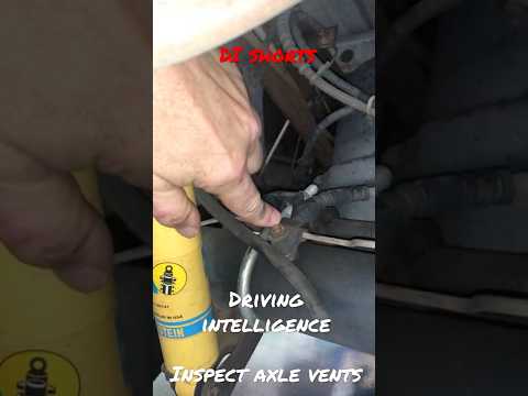 Inspect Rear Axle Vent Hose Regularly, Especially Older Vehicles: Water Damage In Axle: DI #Shorts