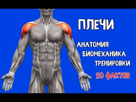 Болит спина между лопатками и температура 37 Коленный сустав справа