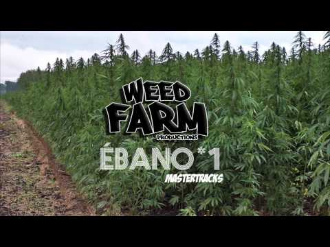 [MASTER TRACK *1] ÉBANO (Weed Farm Productions)
