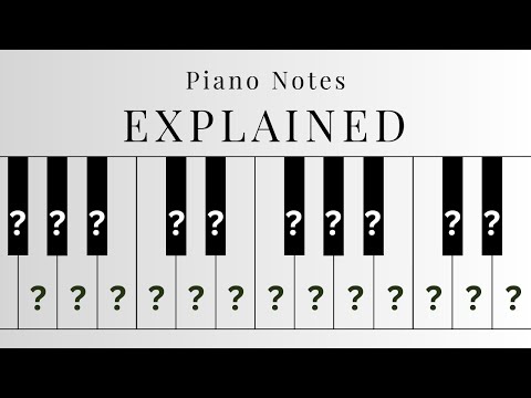 Piano Notes Explained: White Keys and Black Keys